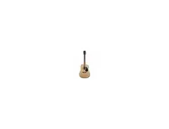 Squier SA-50 Acoustic Guitar