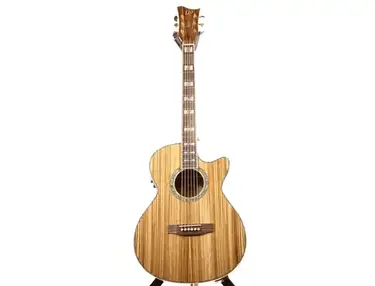 LTD Xtone EW-Z Zebra Acoustic Guitar