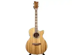 LTD Xtone EW-Z Zebra Acoustic Guitar