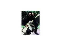 M16 Stratocaster Custom main image