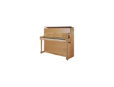 Piano (unknown brand/model)