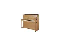 Piano (unknown brand/model)
