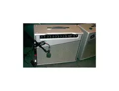 Category 5 Amps Andrew 2x12