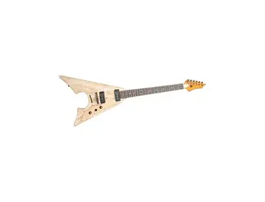 guitar axl 021