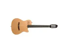 Godin Multiac Encore - What To Know & Where To Buy | Equipboard