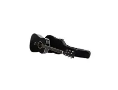 Axman Electro Acoustic main image
