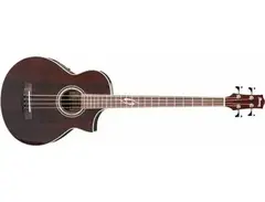 Ibanez Acoustic Bass EWB20WNE-NT Ibanez Acoustic Bass EWB20WNE-NT