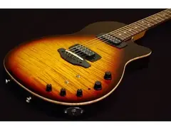 Anderson Guitarworks Crowdster Plus 2 is a newer version of Anderson Guitarworks Crowdster Plus