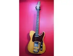 Puelo Telecaster Viga main image
