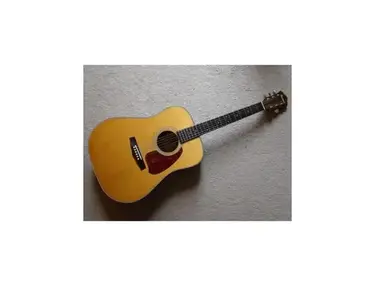 Ibanez V300