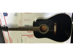 Washburn D-12B main image