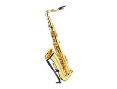 Startone STS-75 Bb Tenor Saxophone main image