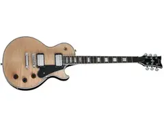 Schecter Solo-II Custom