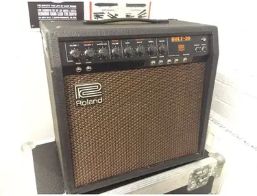 Roland Bolt-30