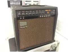 Roland Bolt-30 main image