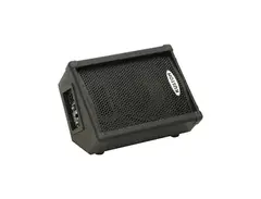 Kustom KPC10MP 10" Powered Monitor Speaker main image