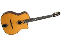 Gitane D-255 main image