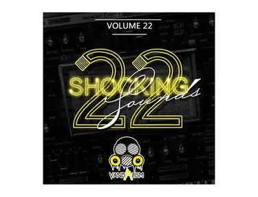 Vandalism Shocking Sounds 22