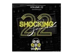 Vandalism Shocking Sounds 22 main image