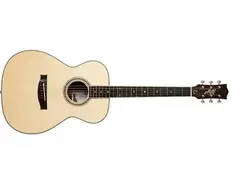 Maton C.S CLASSIC main image