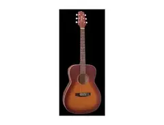 Takamine EG5013S