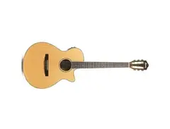 IBANEZ AEG10NII