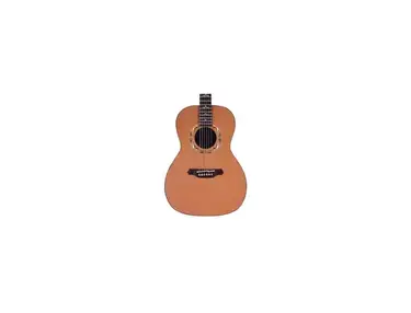 Takamine SF95