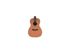 Takamine SF95 main image