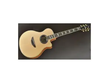 Yamaha APX1000