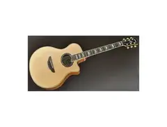 Yamaha APX1000