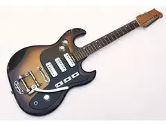 Maton Fyrbyrd 12-string main image