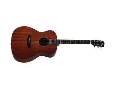 Breedlove Passport OM/MME