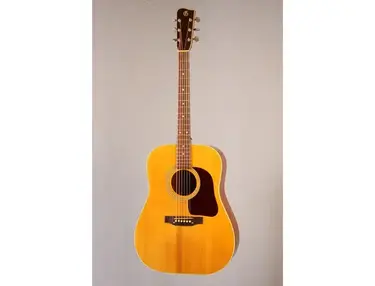 Gallagher G-50