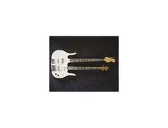Longhorn Doubleneck Bass custom built by RG