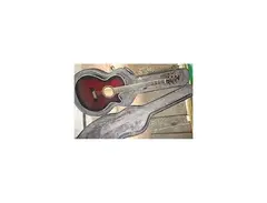 Takamine EF-591