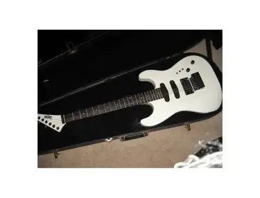 Schecter Strategy