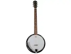 R.W. Jameson 6 String Banjo main image