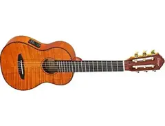 Ortega RGLE18FMH main image