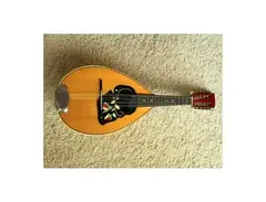 Cremona Bowl Back Mandolin main image