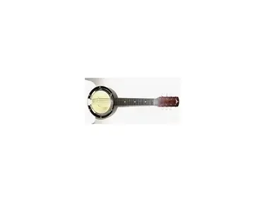 Mandolin-banjo