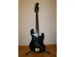 Eko fretleess electric bass main image