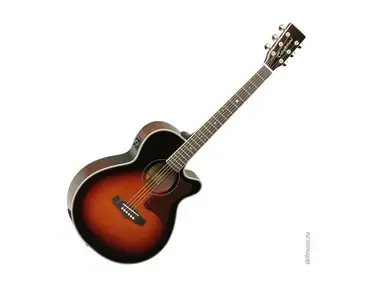 TANGLEWOOD TW45VSE