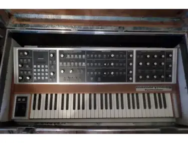 Lintronics Advanced MemoryMoog