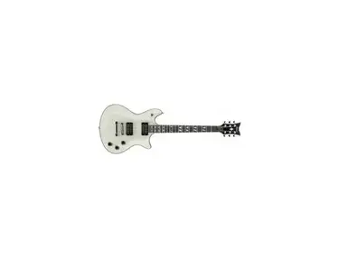 Schecter Custom 1