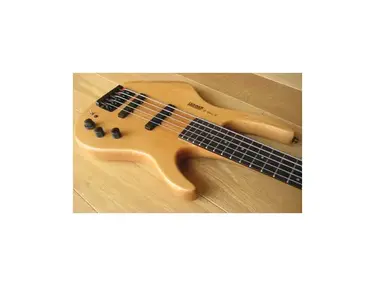 Hohner B-Bass V