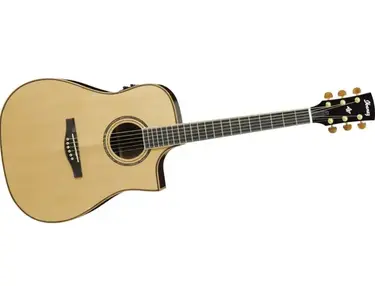 Ibanez Artwood Series AWS1000ECE-NT