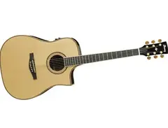 Ibanez Artwood Series AWS1000ECE-NT main image