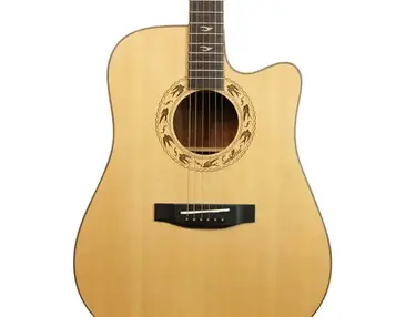 T. Burton Swallow W-CE