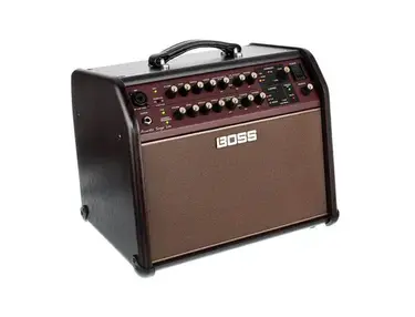 Boss ACS Acoustic Singer Live