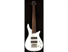 Douglas WOB 826 Fretless main image